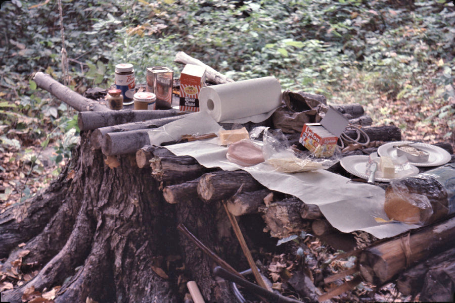 Holden - Lunch Troop 350 - 1959